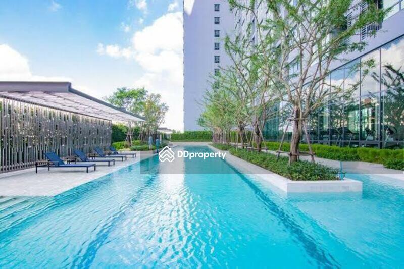 For Rent - IDEO Sukhumvit 93, Bangkok