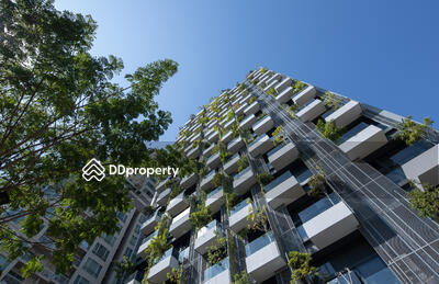 - Siamese Exclusive Sukhumvit 31 : ไซมิส เอ๊กซ์ตลูซีฟ สุขุมวิท 31