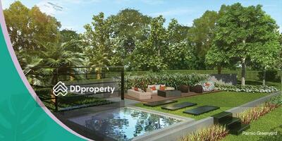 - Palmio อมตะนคร