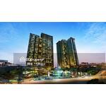 The Coast : เดอะ โคสต์