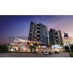 The Coast : เดอะ โคสต์