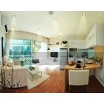 The Coast : เดอะ โคสต์