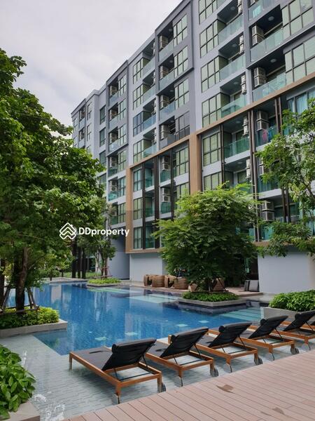 For Sale - The Excel Hideaway Sukhumvit 50, Bangkok