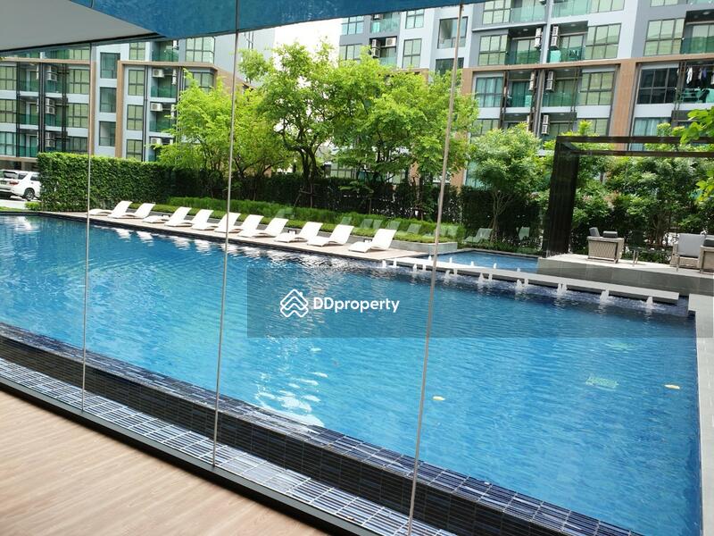 For Sale - The Excel Hideaway Sukhumvit 50, Bangkok