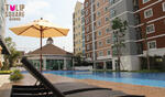 Tulip Square Condo : ทิวลิป สแควร์ คอนโด #0