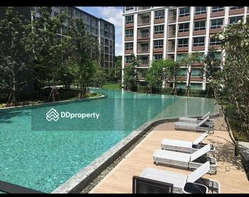 Dcondo Ping : ดีคอนโดพิงค์