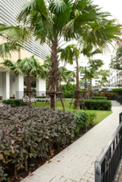 For Rent - Baan Jamjuree, Bangkok