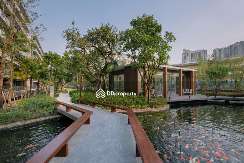 ให้เช่า - Park Court Sukhumvit 77 : พาร์ค คอร์ท สุขุมวิท 77, กรุงเทพ