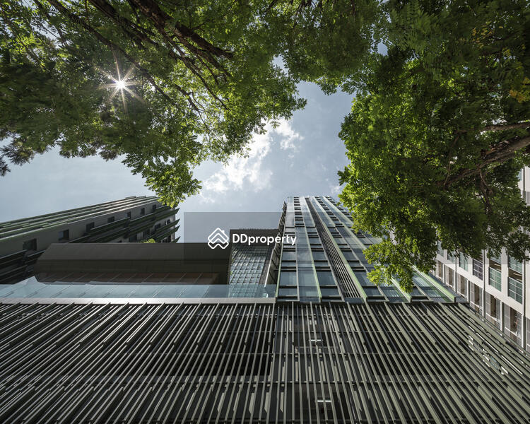 For Rent - Wish Signature Midtown Siam, Bangkok