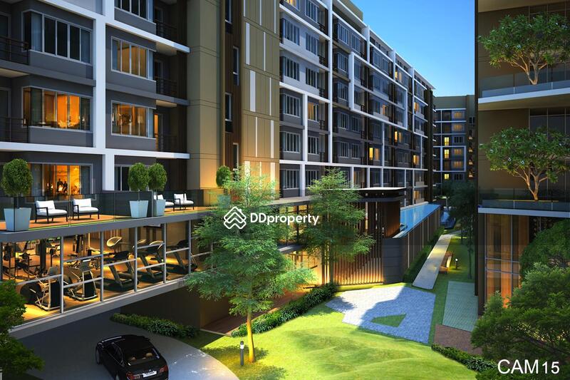 ขาย - Plus Condo สุราษฎร์ธานี, สุราษฎร์ธานี