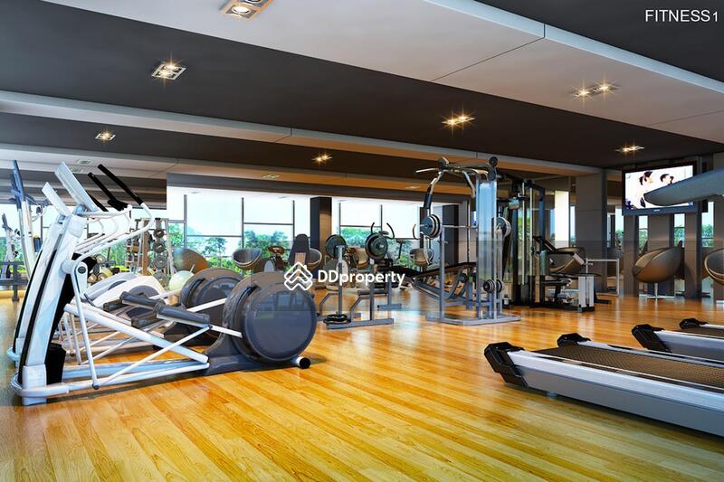 ขาย - Plus Condo สุราษฎร์ธานี, สุราษฎร์ธานี