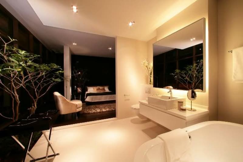 Domus