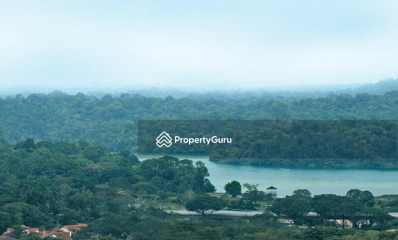 For Rent - Domus