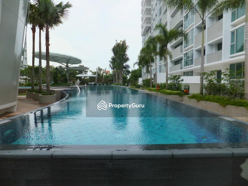 For Rent - Optima @ Tanah Merah