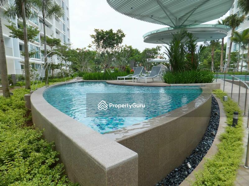 For Rent - Optima @ Tanah Merah