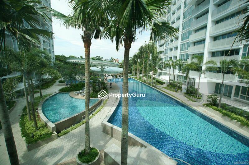 For Rent - Optima @ Tanah Merah