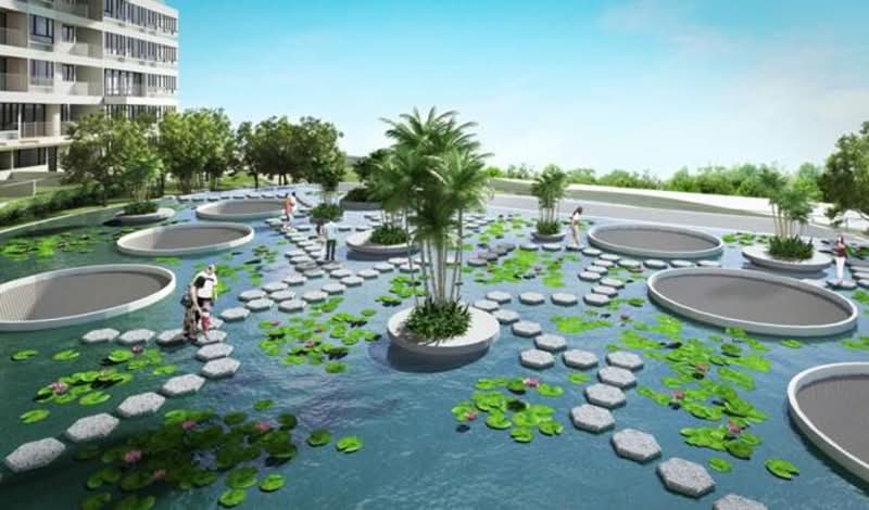 The Interlace