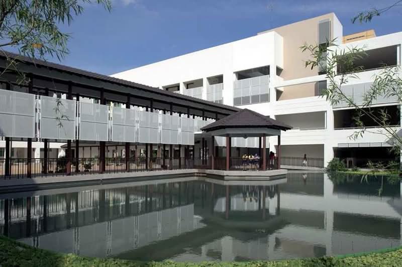 Cassia View