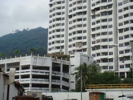 GL Garden