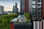 Life Asoke Hype : ไลฟ์ อโศก ไฮป์ #0