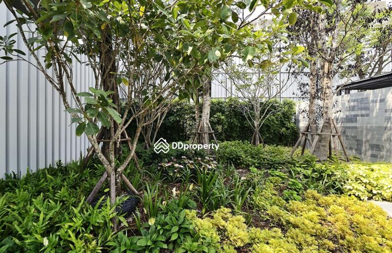 For Rent - Blossom Condo @ Sathorn-Charoenrat, Bangkok