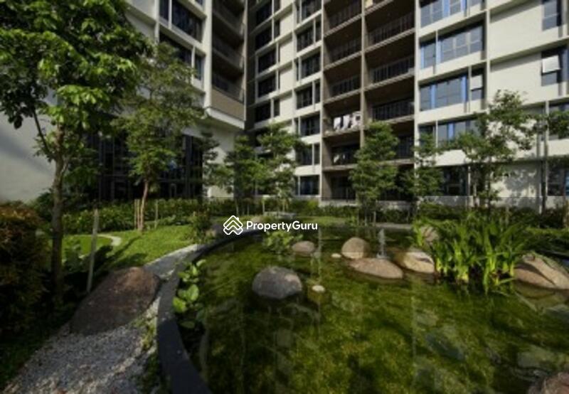 For Sale - The Rainz