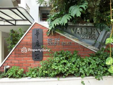  - Valley Mansion