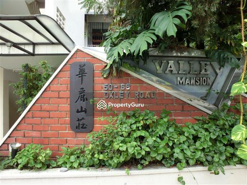 Valley Mansions #0