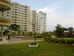 Gold Coast Resort Condominium #0