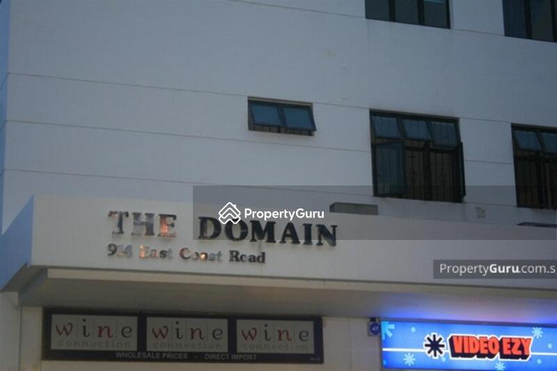 The Domain #0