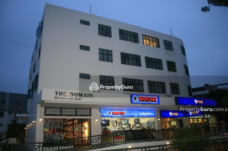 The Domain #0