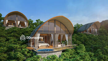 Patong Bay Ocean View Cottages : ป่าตอง เบย์ โอเชียน วิล คอทเทจส์