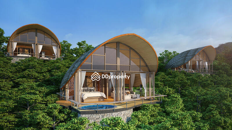 Patong Bay Ocean View Cottages : ป่าตอง เบย์ โอเชียน วิล คอทเทจส์ #0