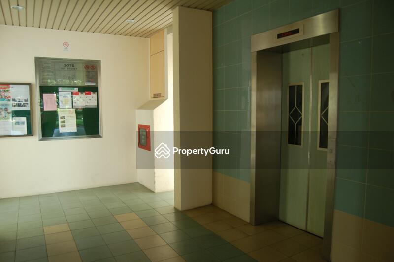 For Rent - 307B Anchorvale Road
