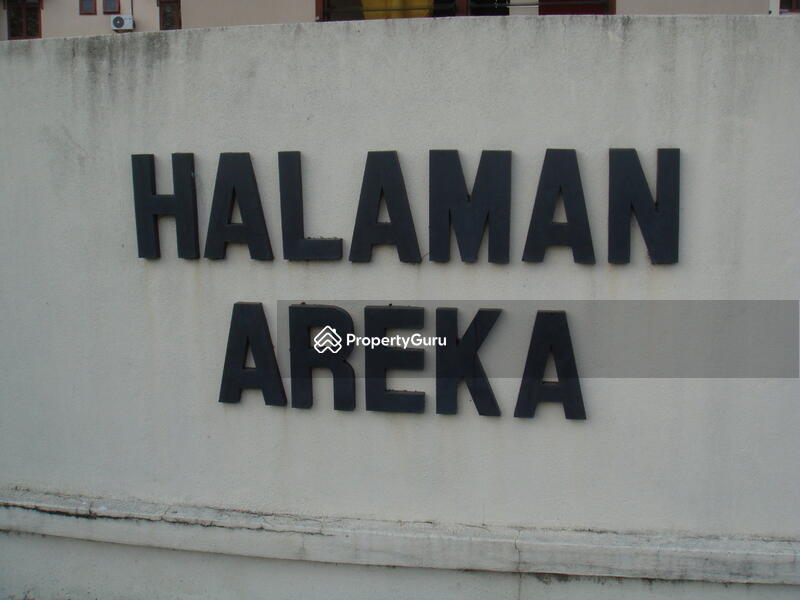 Halaman Areka #0