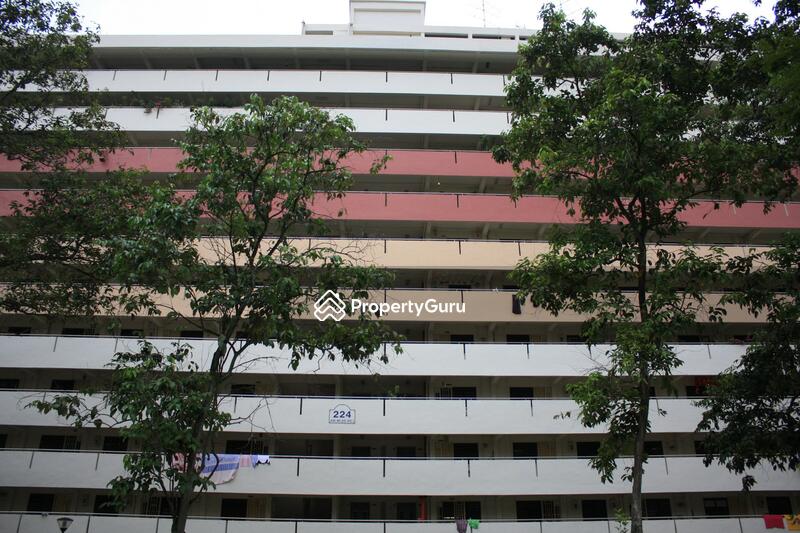 224 Ang Mo Kio Avenue 1 #0