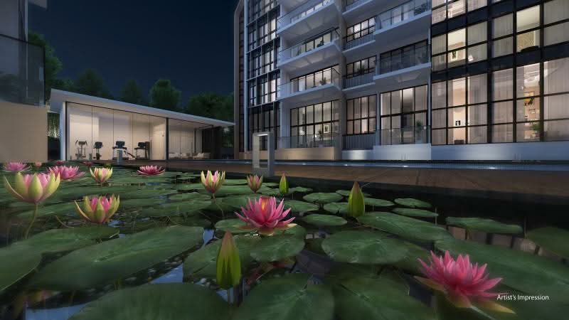 The Lilium