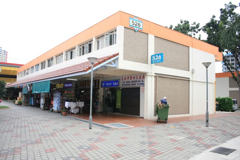 526 Ang Mo Kio Avenue 10, 526 Ang Mo Kio Avenue 10, Room Rental, 120 sqft, HDB Flat For Rent, by Kelvin Ho, 500074532 - PropertyGuru.com.sg