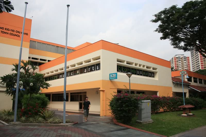 528 Ang Mo Kio Avenue 10 #0