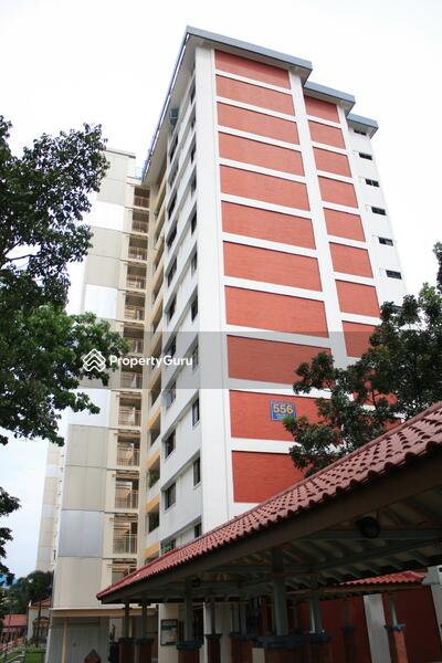 For Rent - 556 Ang Mo Kio Avenue 10
