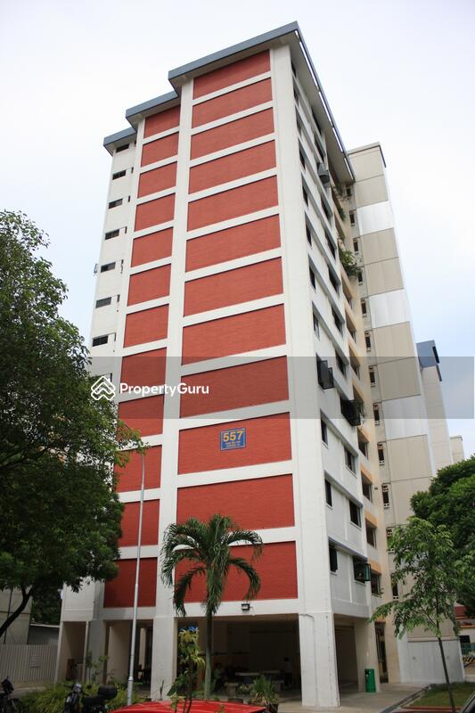 557 Ang Mo Kio Avenue 10 #0