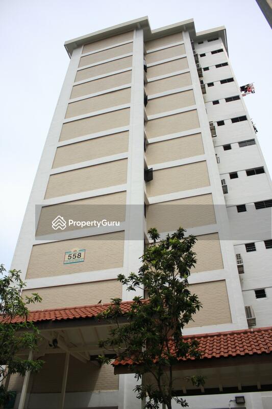 558 Ang Mo Kio Avenue 10 #0