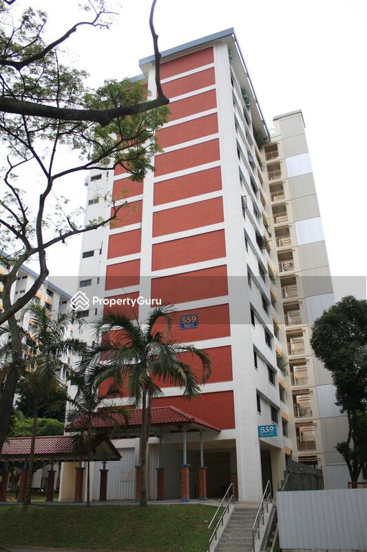 559 Ang Mo Kio Avenue 10 #0