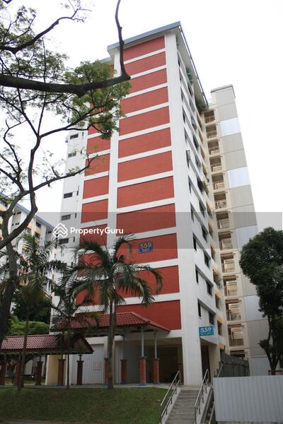 For Rent - 559 Ang Mo Kio Avenue 10