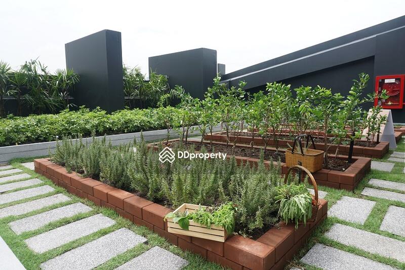 ให้เช่า - IDEO Ratchada-Sutthisan : ไอดีโอ รัชดา-สุทธิสาร, กรุงเทพ