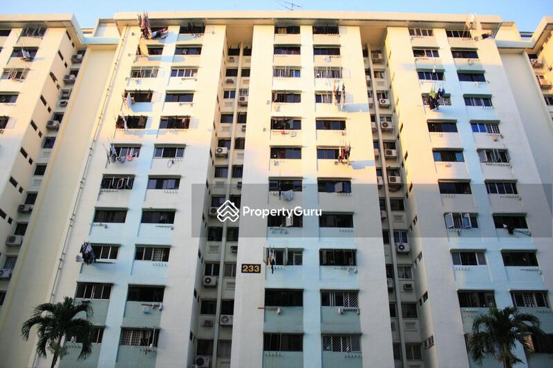 233 Ang Mo Kio Avenue 3 #0