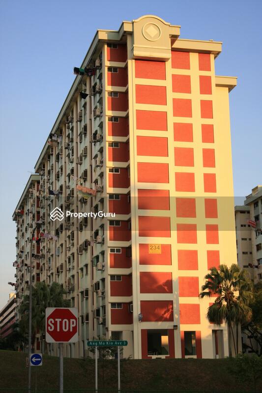 234 Ang Mo Kio Avenue 3 #0