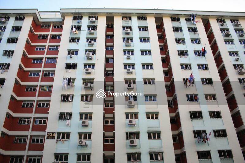 234 Ang Mo Kio Avenue 3 #0