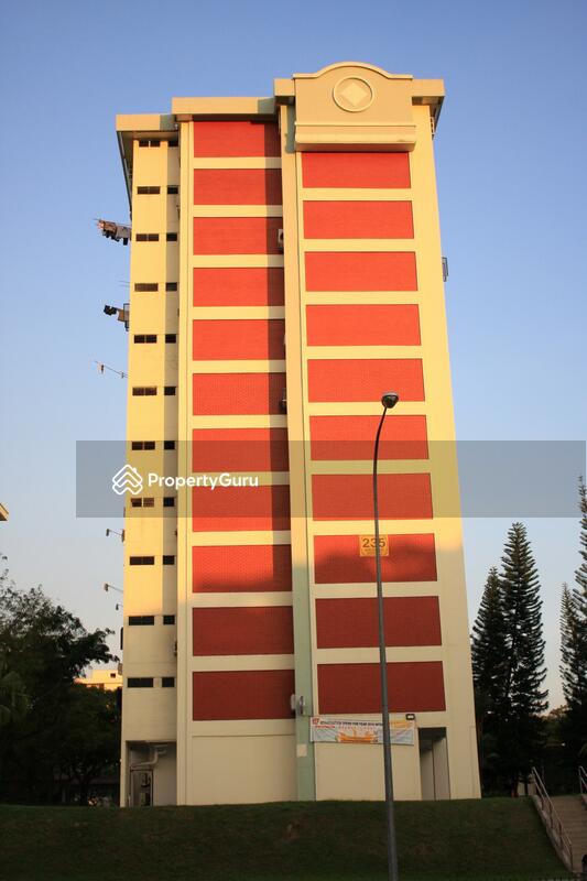 235 Ang Mo Kio Avenue 3 #0