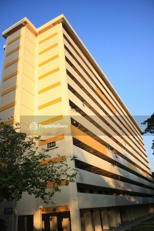 244 Ang Mo Kio Avenue 3 #0
